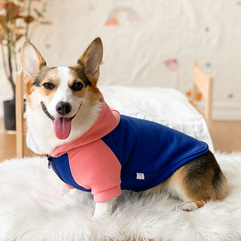 Dog Hoodie