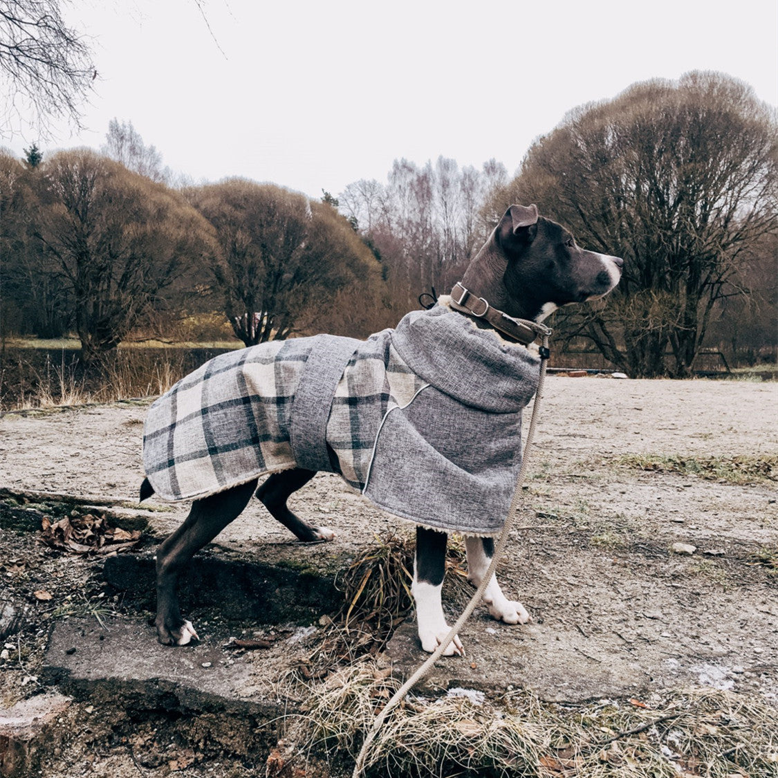 Pet Clothes Autumn And Winter- New Plaid Jacket- Cold Cotton Coat Pet Supplies