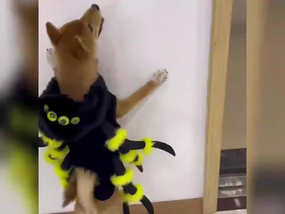 New pet cat spider transformation costume- cosplay dog Halloween funny dog costume- Dress up