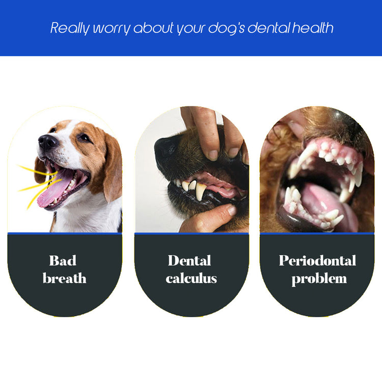 Escova de dentes macia para animais de estimação, gato, com três lados, borracha, mau hálito, tártaro, ferramenta para dentes, acessórios para animais de estimação