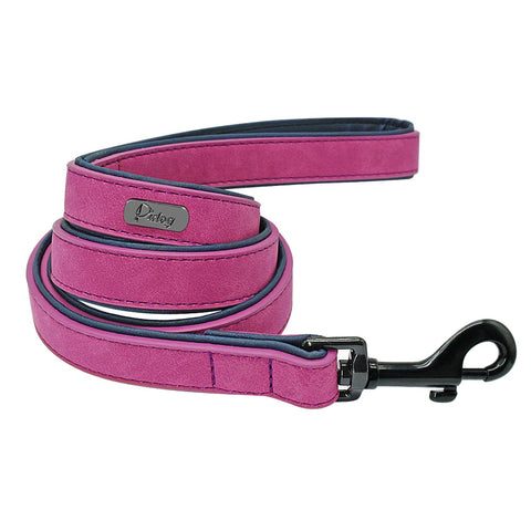 Pets Collars and leads