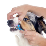 Dog Toothbrush -Soft Pet Cat Toothbrush -Tooth Brush for Bad Breath -Tartar- Pet accessory