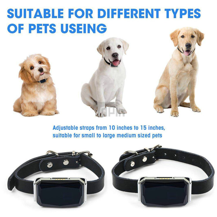 New Arrival IP67 Waterproof Pet Collar GSM AGPS Wifi LBS Mini Light GPS Tracker for Pets Dogs Cats Cattle Sheep Tracking Locator