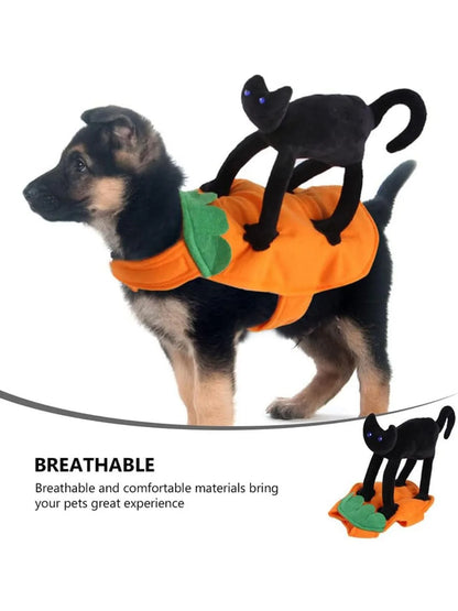 Halloween Pet Costume- Pumpkin Black Cat Costumes for Dogs, cats