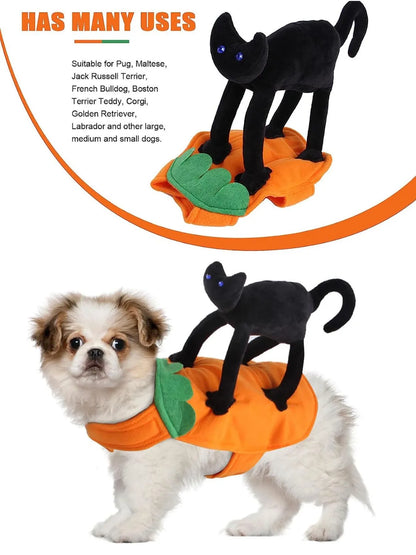 Halloween Pet Costume- Pumpkin Black Cat Costumes for Dogs, cats