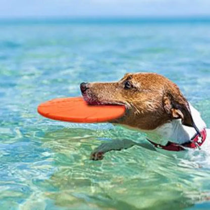 Pack dog frisbee- Durable pet interactive toy rubber- Suitable for outdoor training of medium-sized and large dogs