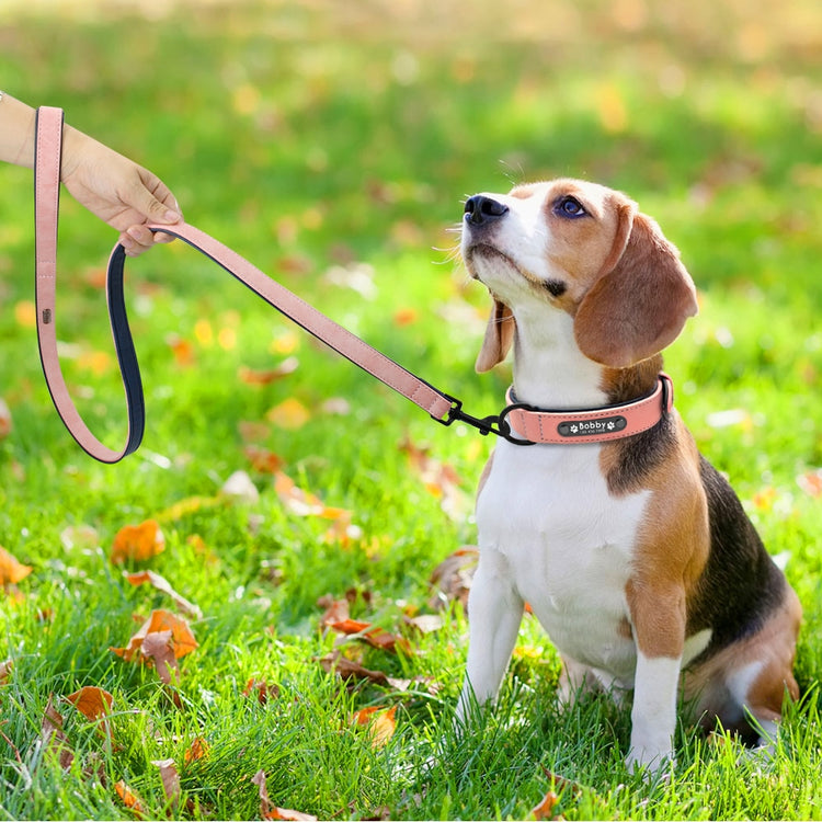 Coleira de couro para cachorro, feita sob encomenda, durável, coleira e trela para animais de estimação, alça personalizada para cães pequenos, médios e grandes