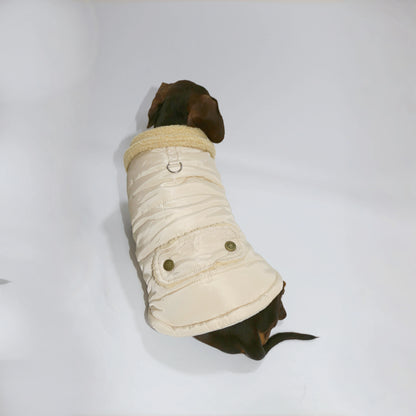 Dog wearing a beige quilted coat on a white background
