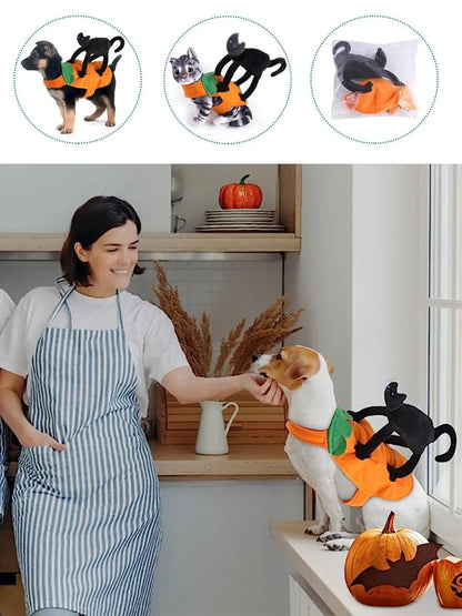 Halloween Pet Costume- Pumpkin Black Cat Costumes for Dogs, cats