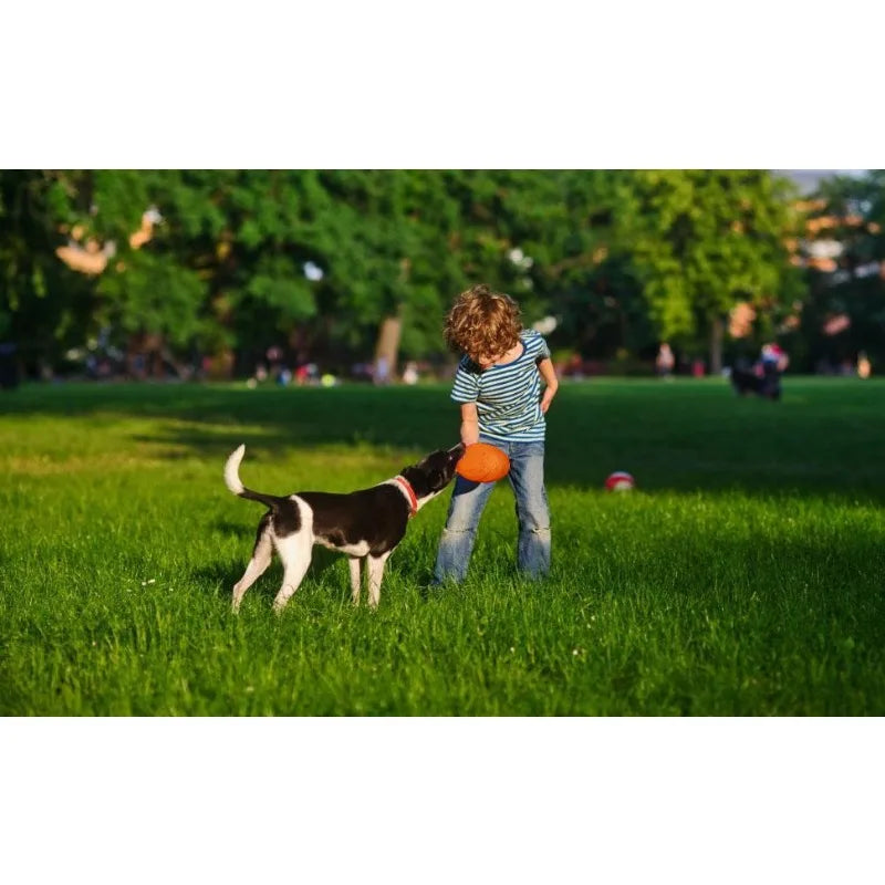 Pack dog frisbee- Durable pet interactive toy rubber- Suitable for outdoor training of medium-sized and large dogs
