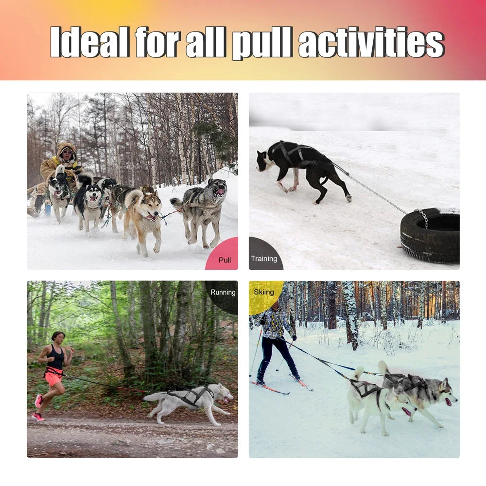 Dog Sled Harness X-Back for Large Dogs husky – Weight Pulling, Canicross, Skijoring & Scootering Harness