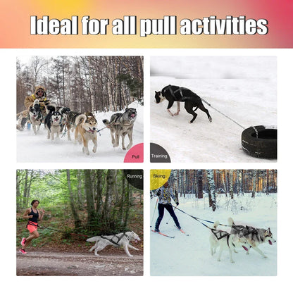 Dog Sled Harness X-Back for Large Dogs husky – Weight Pulling, Canicross, Skijoring & Scootering Harness