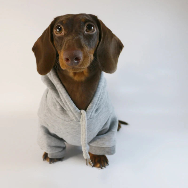Cool Dog Sausage Hoodie for Small Dogs- Warm Puppy Clothes Dachshund Pullover