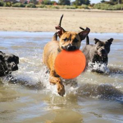 Pack dog frisbee- Durable pet interactive toy rubber- Suitable for outdoor training of medium-sized and large dogs