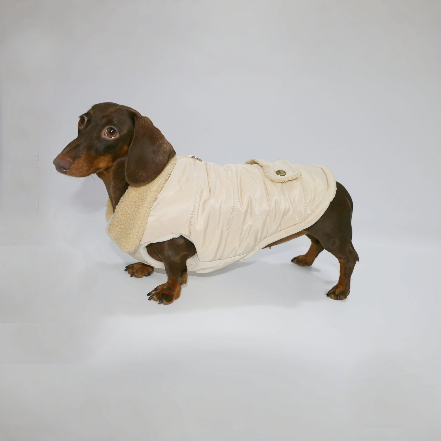 Dachshund Dogs Autumn Thick Army Green Vest Warm Fur Collar Jacket for Wiener Dogs Small Mid Dogs Sleeveless Coat in Winter