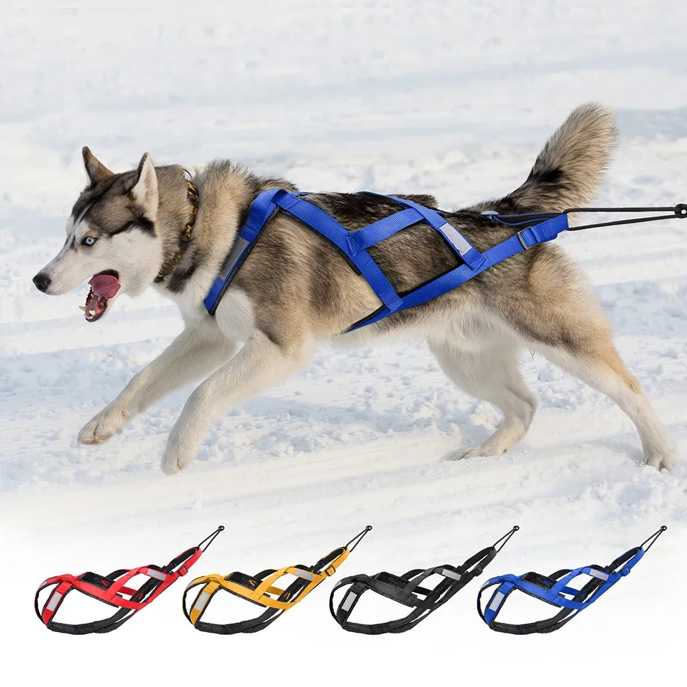 Dog Sled Harness X-Back for Large Dogs husky – Weight Pulling, Canicross, Skijoring & Scootering Harness