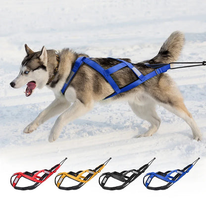 Dog Sled Harness X-Back for Large Dogs husky – Weight Pulling, Canicross, Skijoring & Scootering Harness