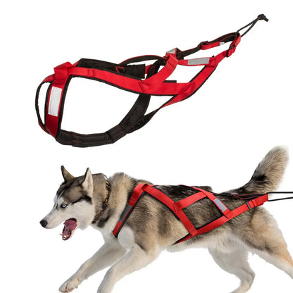 Dog Sled Harness X-Back for Large Dogs – Weight Pulling, Canicross, Skijoring & Scootering Harness