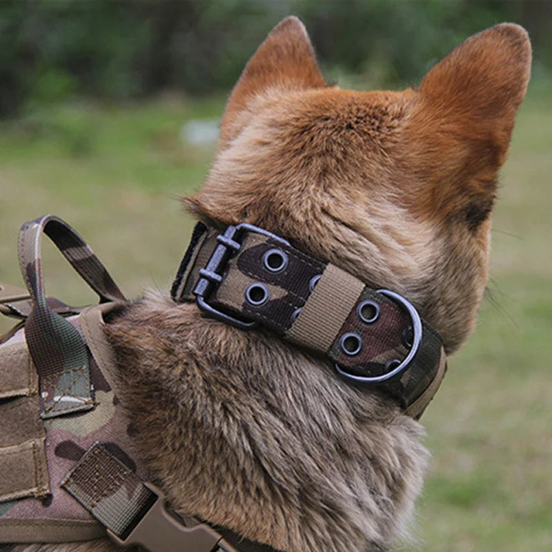 Adjustable Dog Collar Classic Reflective -Training Military Dog Collar- Nylon Heavy Duty Tactical Dog Collar German Shepherd