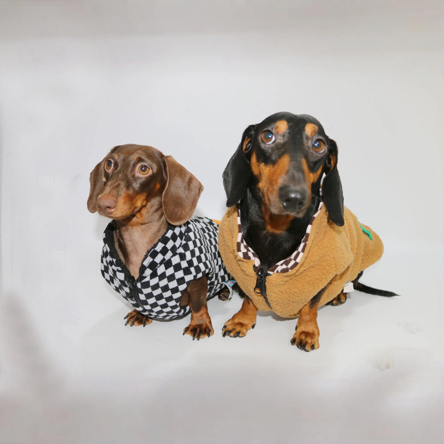 Warm Plaid Jacket for Badger Dogs- Elegant Comfort Winter Coat -Thickening Sweater Cardigan for Small Media Dachshund Dogs