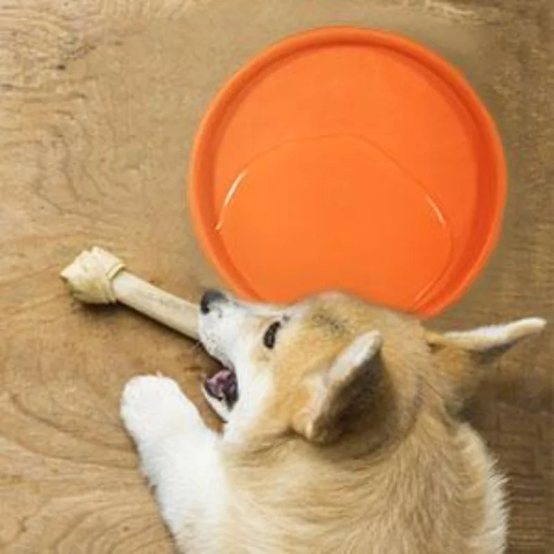 Pack dog frisbee- Durable pet interactive toy rubber- Suitable for outdoor training of medium-sized and large dogs