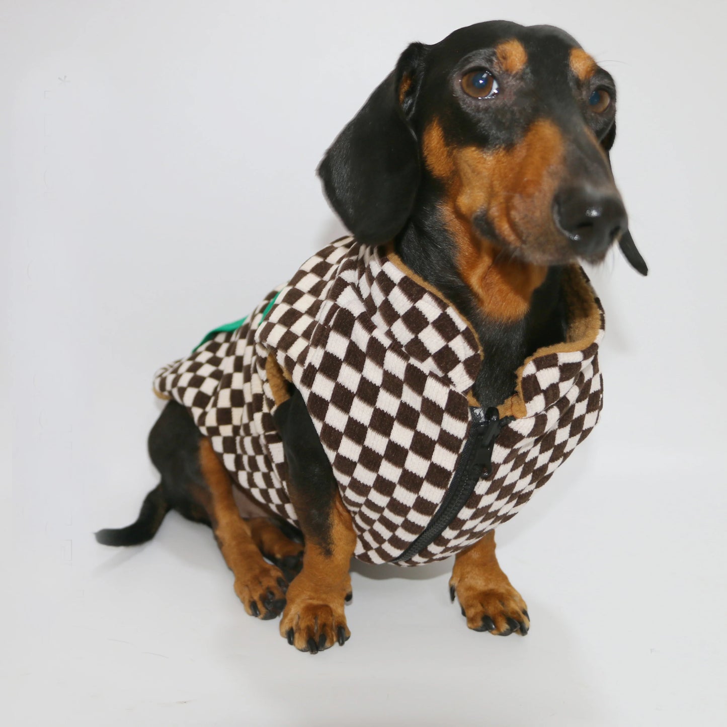 Warm Plaid Jacket for Badger Dogs- Elegant Comfort Winter Coat -Thickening Sweater Cardigan for Small Media Dachshund Dogs