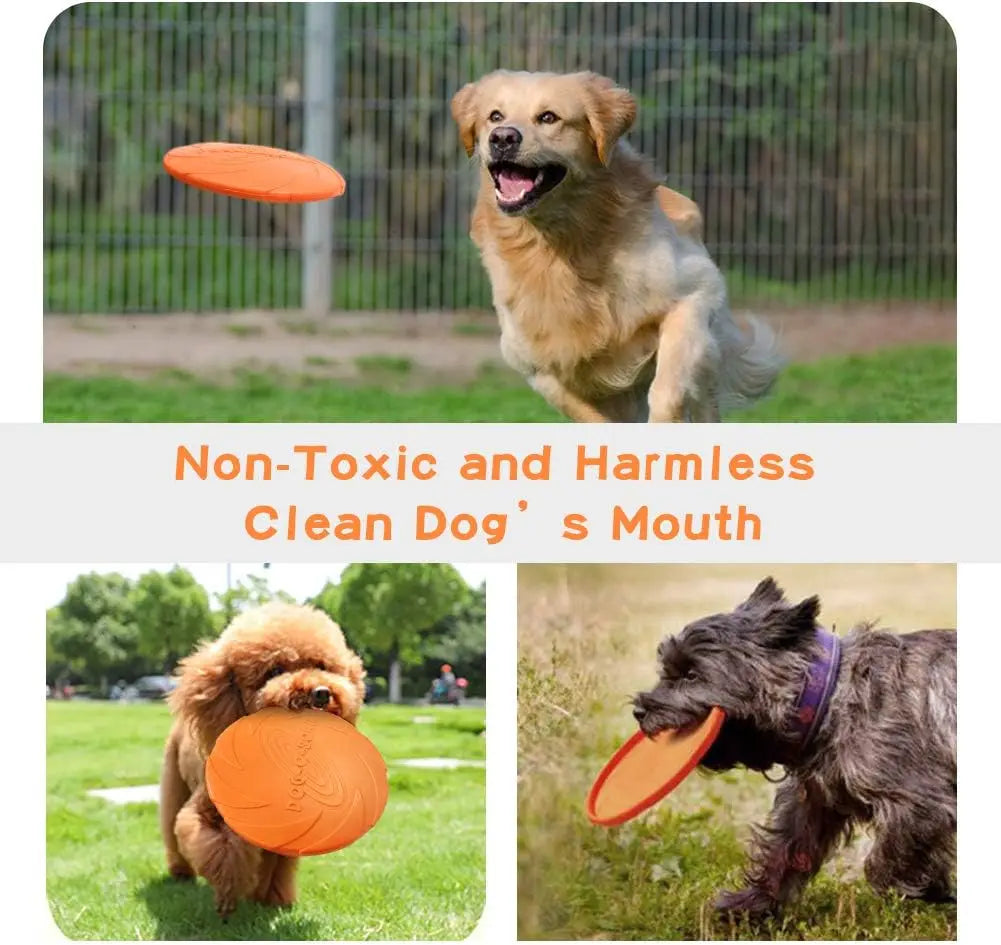 Pack dog frisbee- Durable pet interactive toy rubber- Suitable for outdoor training of medium-sized and large dogs