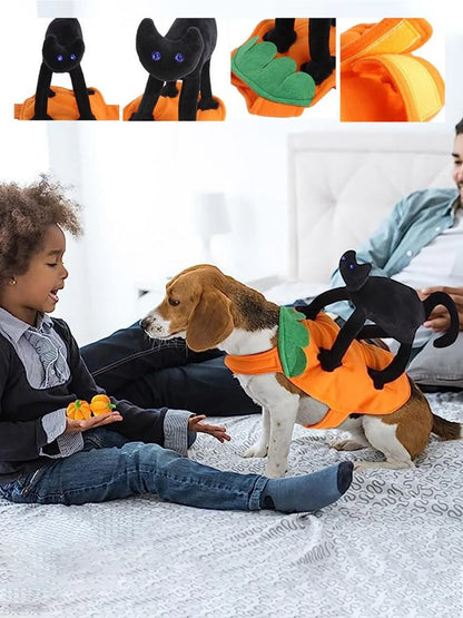 Halloween Pet Costume- Pumpkin Black Cat Costumes for Dogs, cats