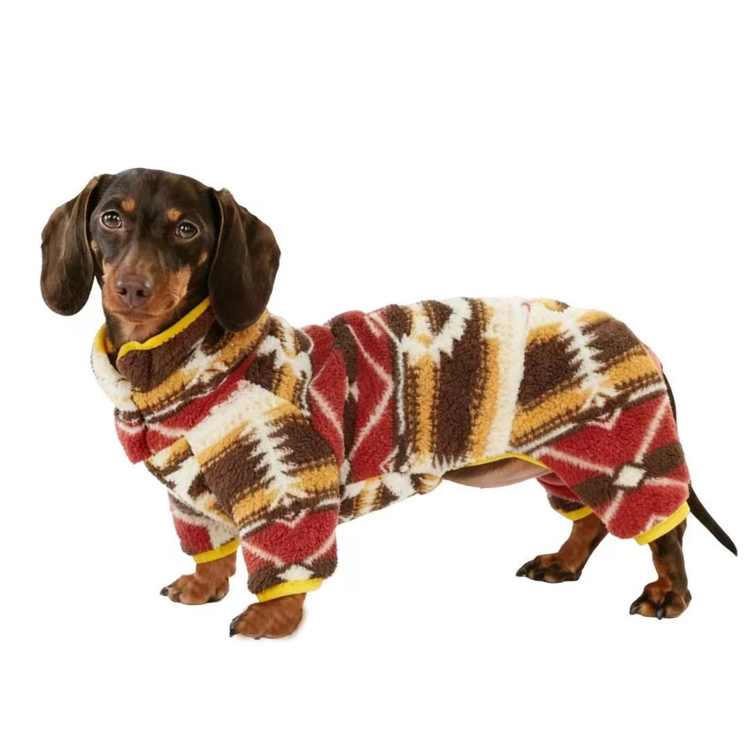 Dog wearing a patterned sweater on a white background