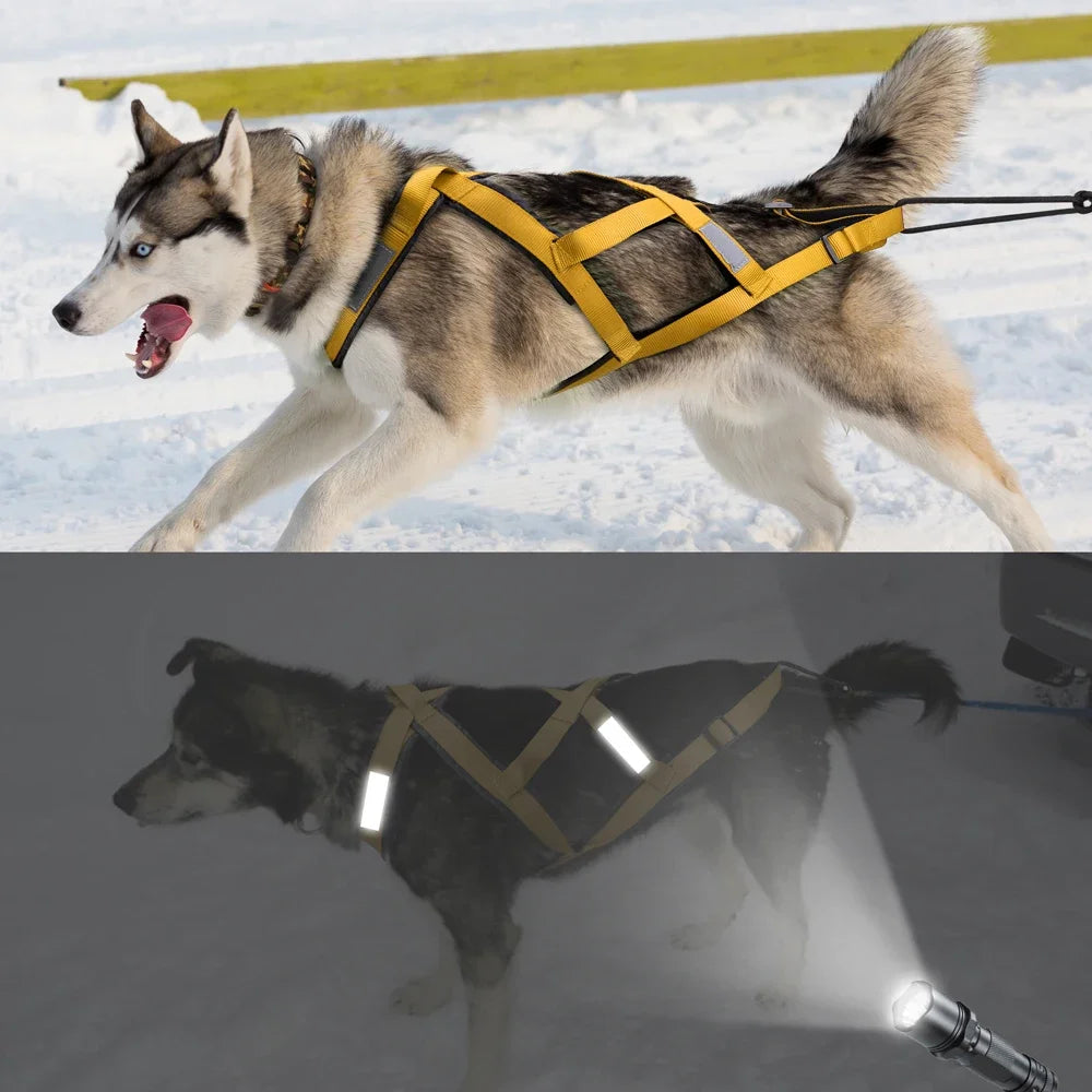 Dog Sled Harness X-Back for Large Dogs husky – Weight Pulling, Canicross, Skijoring & Scootering Harness