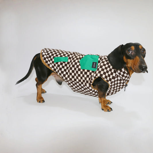 Dog wearing a checkered coat with green patches on a white background