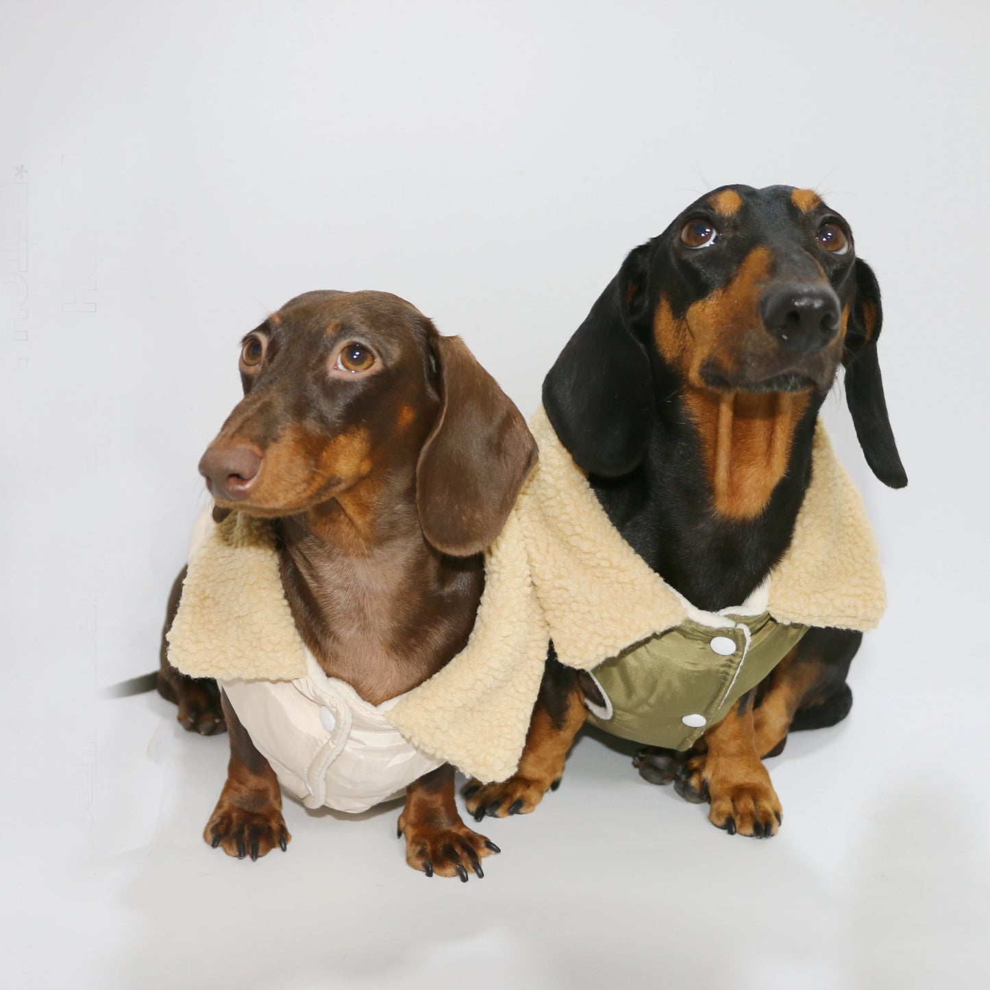 Dachshund Dogs Autumn Thick Army Green Vest Warm Fur Collar Jacket for Wiener Dogs Small Mid Dogs Sleeveless Coat in Winter