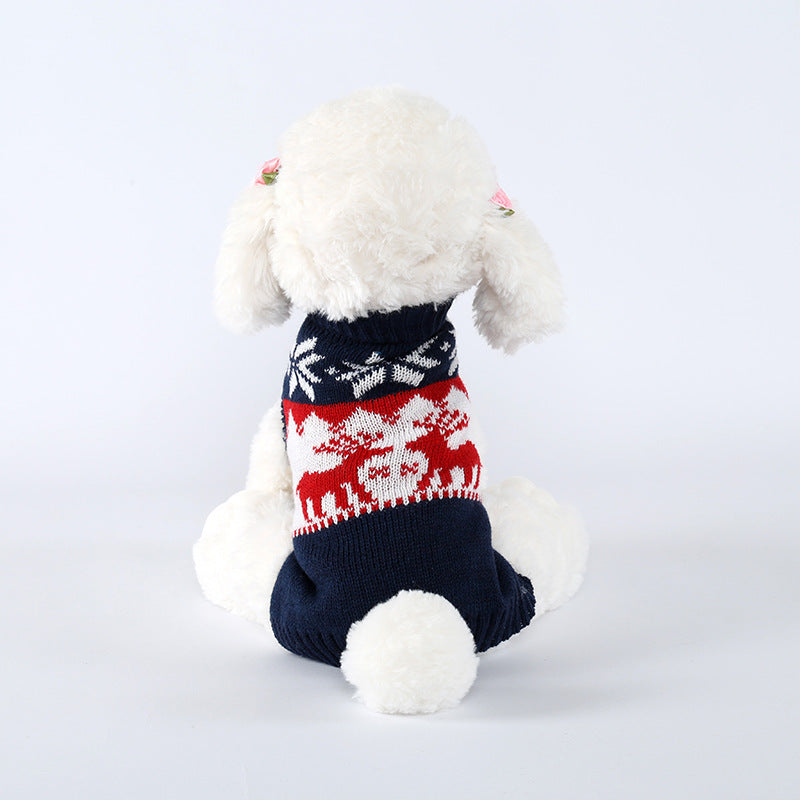 White dog wearing a red, white, and blue sweater on a light gray background