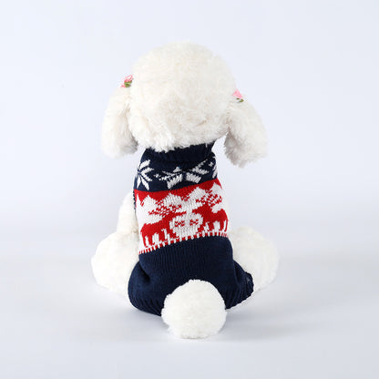 White dog wearing a red, white, and blue sweater on a light gray background