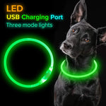 Coleira piscante para animais de estimação, recarregável por usb, brilhante, segurança, iluminada, para caminhada noturna, elétrica, neon 