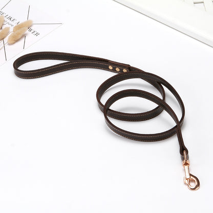 First Layer Faux leather- Pet Hand Holding Leather Dog leash