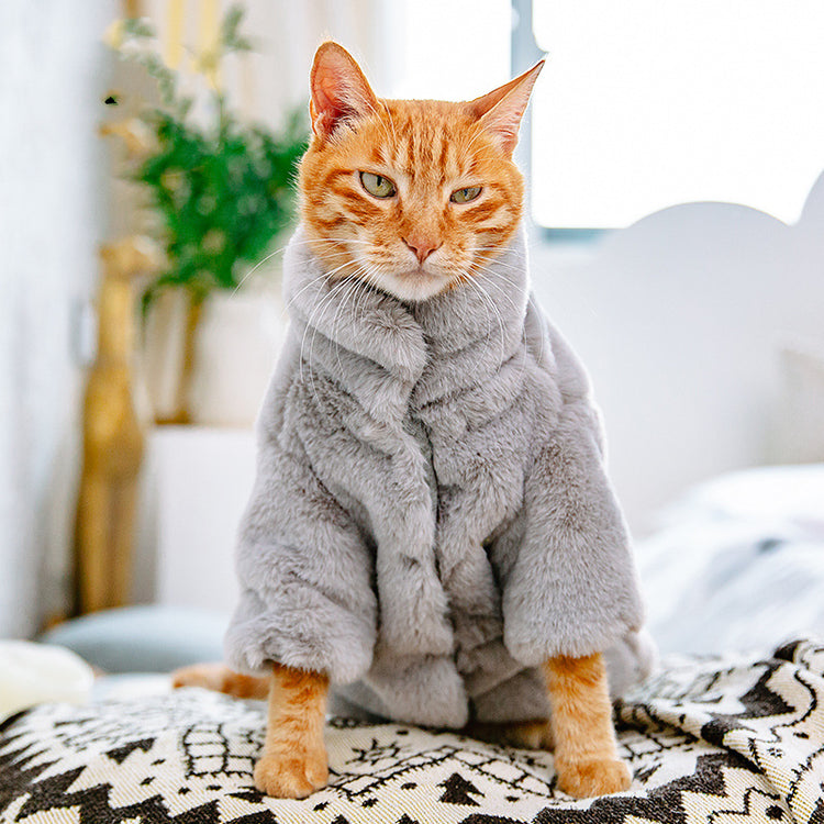 Hairless Pets.  Thick Fluffy Cat Jackets For Autumn And Winter wear. Comes in all sizes.