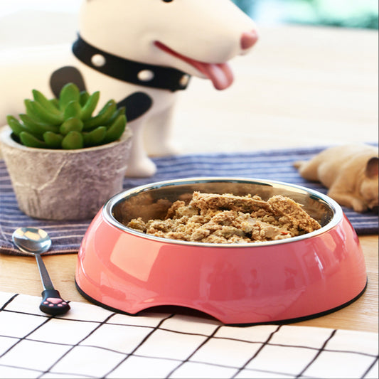 Pet bowl with food 