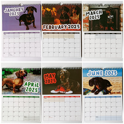 Cheeky Sausage Dog Calendar-Wiener dogs