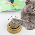 Catnip Balls Cat Treats Rotary Molar Teeth Cleaning