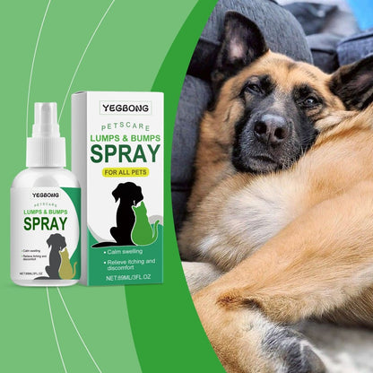 Cat And Dog Relieve - Skin Discomfort - Care Pet Care Spray - PetsDzign