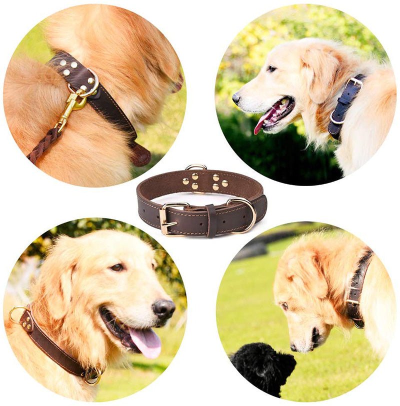 Cowhide dog collar - Two colours - PetsDzign