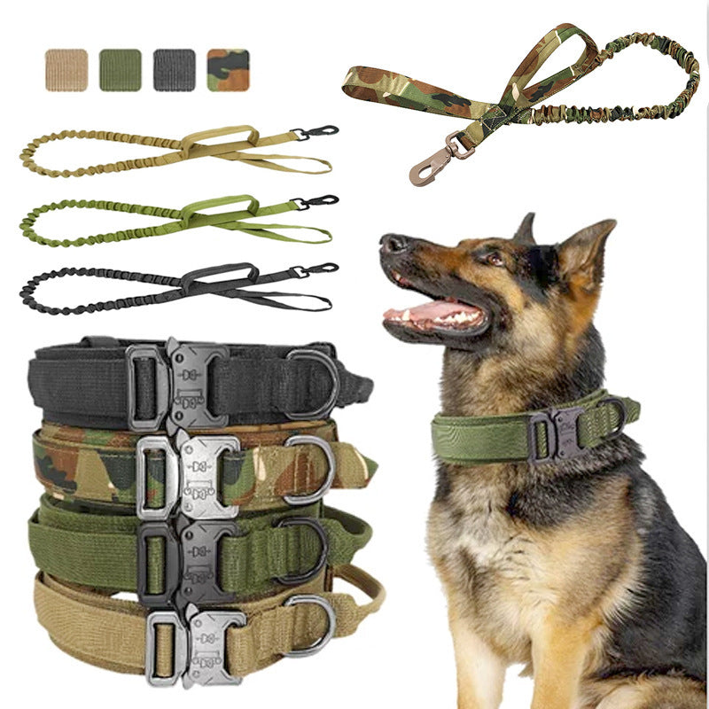 dog tactical collar