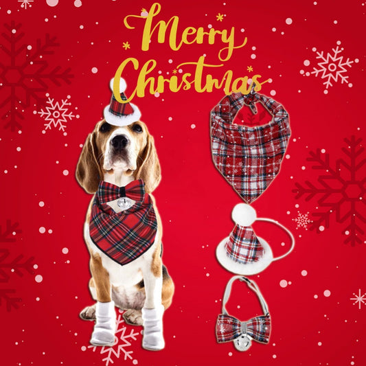 Pet christmas costume