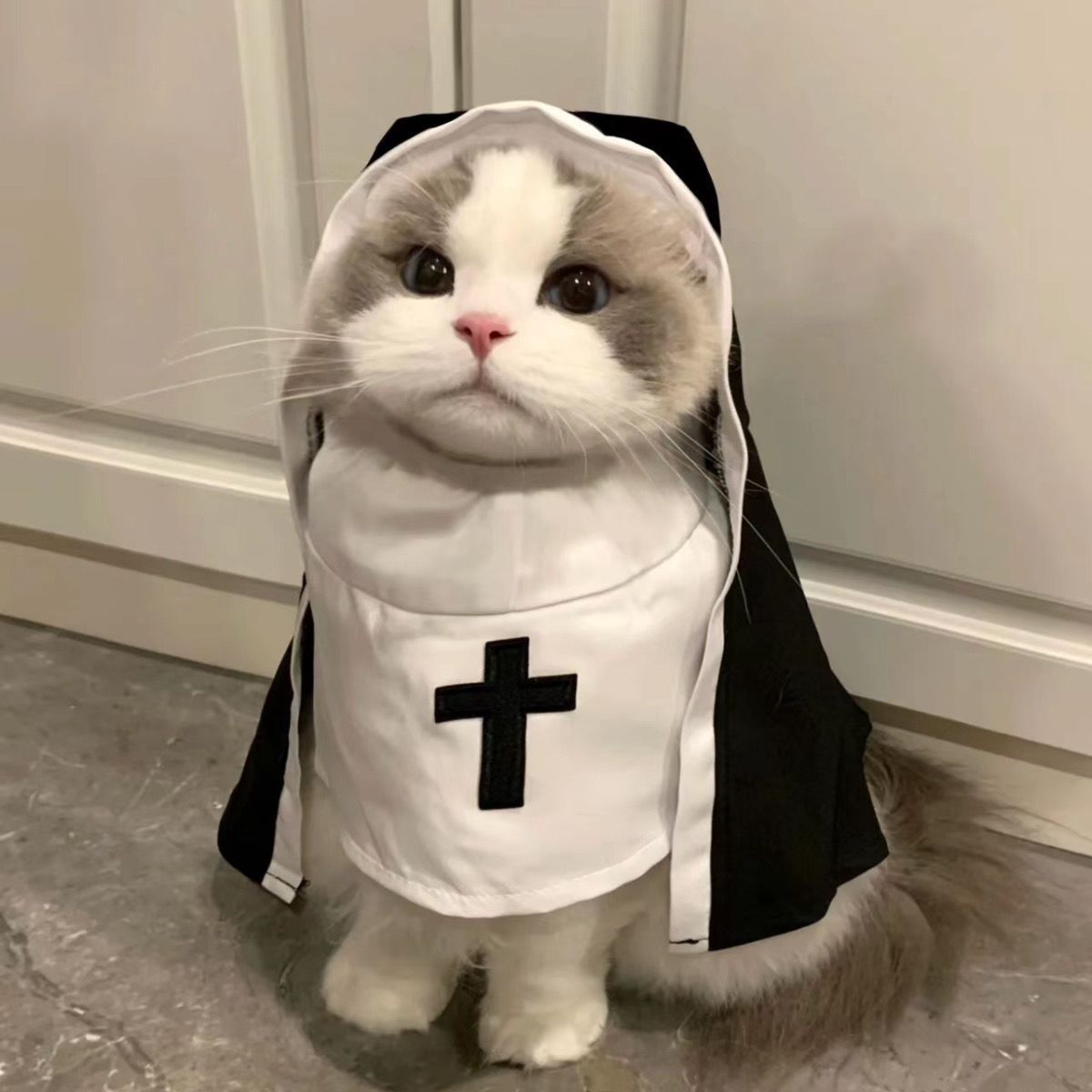 Nun Dog Costume For Small Medium Dogs Halloween Cosplay Outfit Black White Cloak Dress