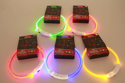 Pet Flashing Collar- USB Rechargeable -Glowing Necklace- Safety Collar Light Up Collars for Night Walking.