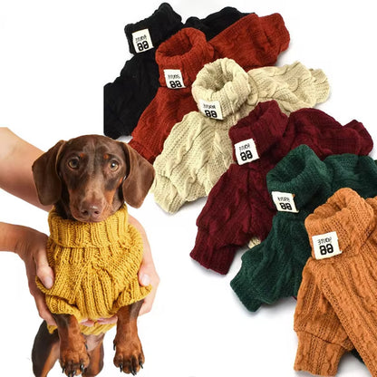 Winter sweaters dogs