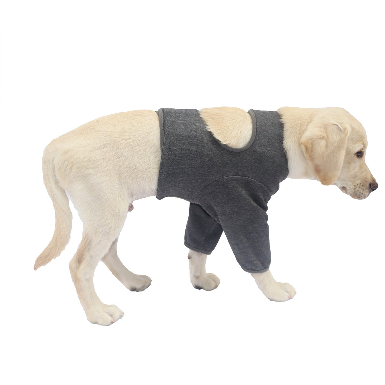 Pet Front Leg Sleeve Wrap Support Aids In Healing Comfortable Sleeve Leggings Against Licking Dog Leggings Elbow Brace