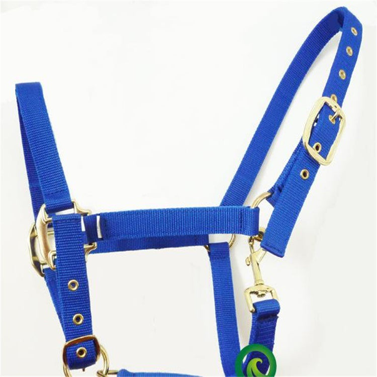 Head Halter for Horses