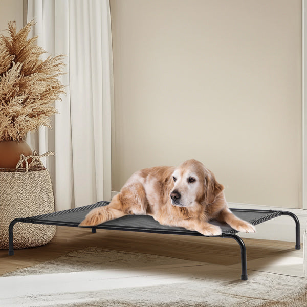 Pet Beds -elevated pet cots